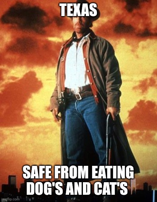 walker texas ranger | TEXAS; SAFE FROM EATING DOG'S AND CAT'S | image tagged in walker texas ranger | made w/ Imgflip meme maker