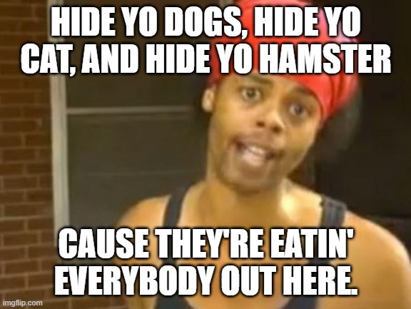 Hide Yo Kids Hide Yo Wife Meme | HIDE YO DOGS, HIDE YO CAT, AND HIDE YO HAMSTER; CAUSE THEY'RE EATIN' EVERYBODY OUT HERE. | image tagged in memes,hide yo kids hide yo wife | made w/ Imgflip meme maker