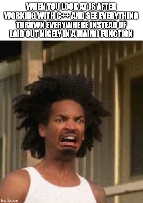 Brotha eugh | WHEN YOU LOOK AT JS AFTER WORKING WITH C++ AND SEE EVERYTHING THROWN EVERYWHERE INSTEAD OF LAID OUT NICELY IN A MAIN() FUNCTION | image tagged in disgusted face | made w/ Imgflip meme maker