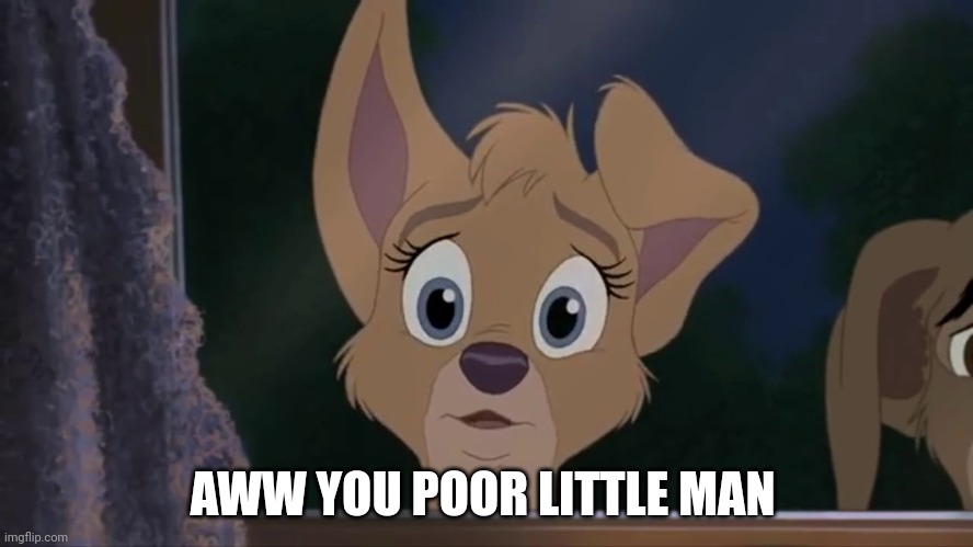 You Poor Little Man | AWW YOU POOR LITTLE MAN | image tagged in lady and the tramp 2 | made w/ Imgflip meme maker