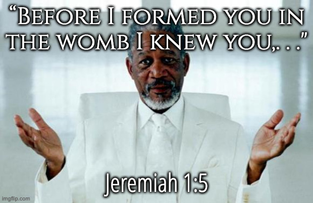 God Knew You Before You were Even Born | “Before I formed you in the womb I knew you,. . ."; Jeremiah 1:5 | image tagged in god morgan freeman | made w/ Imgflip meme maker