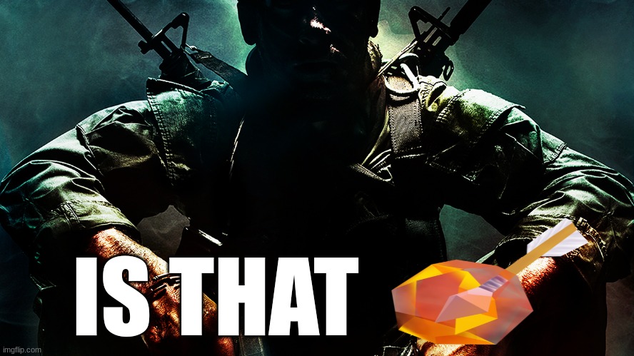 Black ops guy | IS THAT | image tagged in black ops guy | made w/ Imgflip meme maker