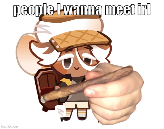 smore cookie with a blunt | people I wanna meet irl | image tagged in smore cookie with a blunt | made w/ Imgflip meme maker