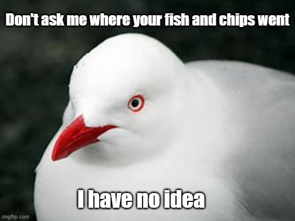 Seagull meme | Don't ask me where your fish and chips went; I have no idea | image tagged in seagull,funny,funny memes,chips | made w/ Imgflip meme maker