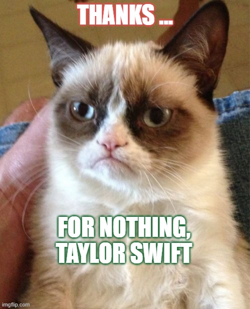 Nice Taylor Swift cat | THANKS ... FOR NOTHING, TAYLOR SWIFT | image tagged in memes,grumpy cat,ohio | made w/ Imgflip meme maker