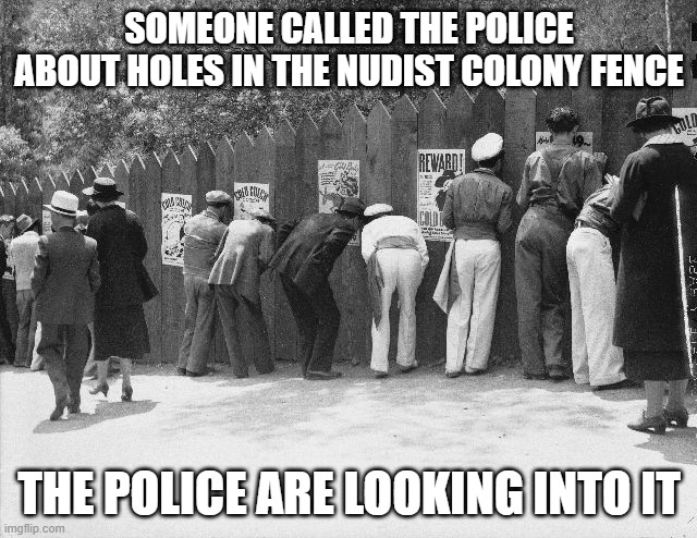 memes by Brad - There are holes in the nudist colony fence. Police are looking into it. | SOMEONE CALLED THE POLICE ABOUT HOLES IN THE NUDIST COLONY FENCE; THE POLICE ARE LOOKING INTO IT | image tagged in funny,fun,police,nudist,investigation,humor | made w/ Imgflip meme maker