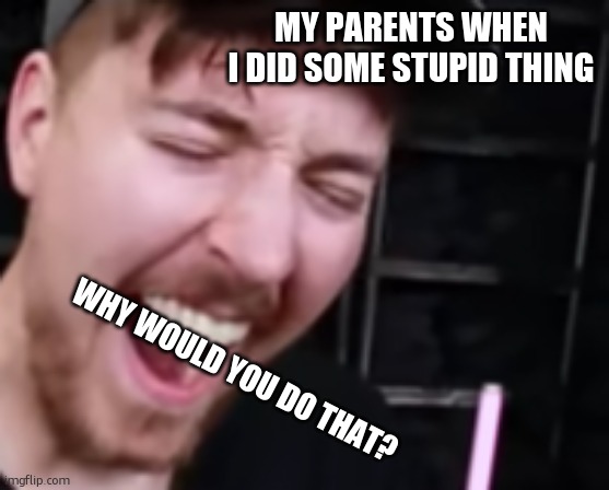 'Cause I'm stupid that's why. | MY PARENTS WHEN I DID SOME STUPID THING; WHY WOULD YOU DO THAT? | image tagged in why would you do that mr beast | made w/ Imgflip meme maker