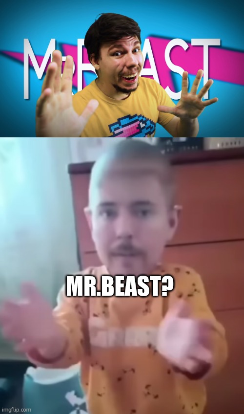 is that you?? | MR.BEAST? | image tagged in fake mr beast,mr beast | made w/ Imgflip meme maker