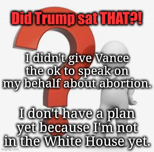 Did You Catch That?! | Did Trump sat THAT?! I didn't give Vance the ok to speak on my behalf about abortion. I don't have a plan yet because I'm not in the White House yet. | image tagged in dnc,msnbc | made w/ Imgflip meme maker