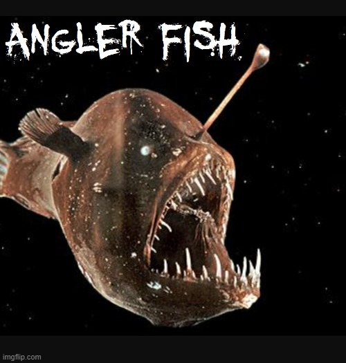 Drawn to his Light; Cursed at 700 Hundred Fathoms Deep. | image tagged in vince vance,cursed image,angler fish,horrors,memes,monster | made w/ Imgflip meme maker