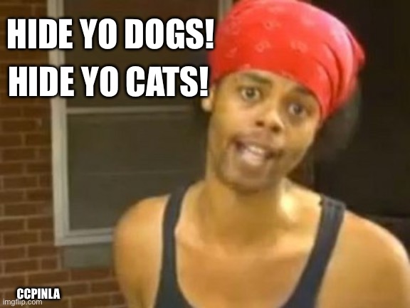 Hide Yo Kids Hide Yo Wife | HIDE YO CATS! HIDE YO DOGS! CCPINLA | image tagged in memes,hide yo kids hide yo wife | made w/ Imgflip meme maker