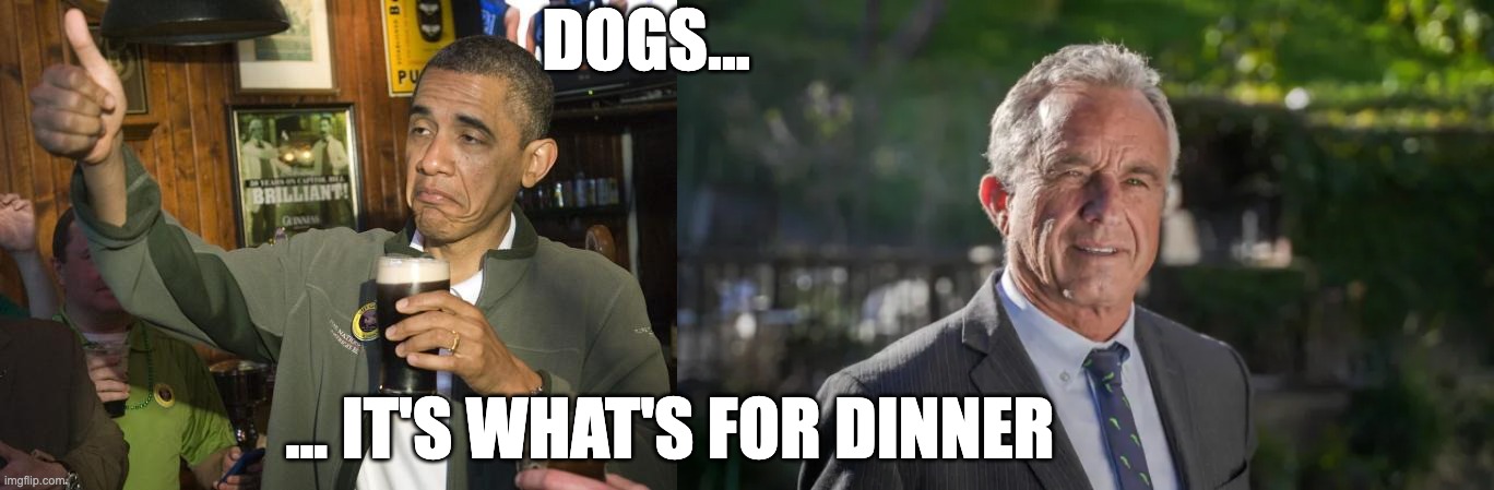 DOGS... ... IT'S WHAT'S FOR DINNER | image tagged in not bad,robert f kennedy jr | made w/ Imgflip meme maker