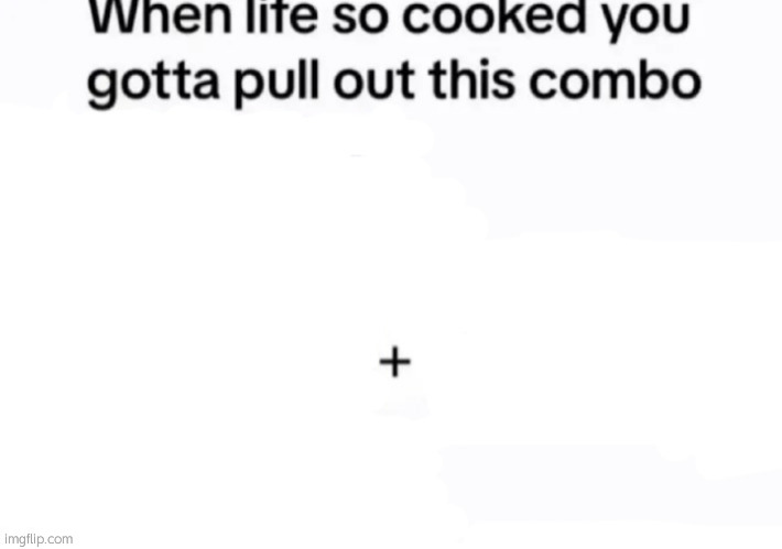 New template | image tagged in when life so cooked you gotta pull out this combo | made w/ Imgflip meme maker