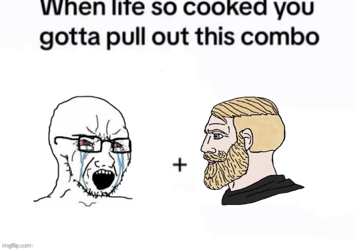 When life so cooked you gotta pull out this combo | image tagged in when life so cooked you gotta pull out this combo | made w/ Imgflip meme maker