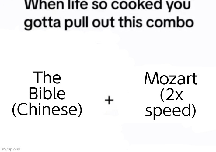 When life so cooked you gotta pull out this combo | The Bible (Chinese); Mozart (2x speed) | image tagged in when life so cooked you gotta pull out this combo | made w/ Imgflip meme maker