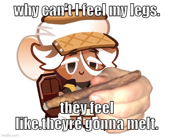 smore cookie with a blunt | why can't I feel my legs. they feel like.theyre gonna melt. | image tagged in smore cookie with a blunt | made w/ Imgflip meme maker