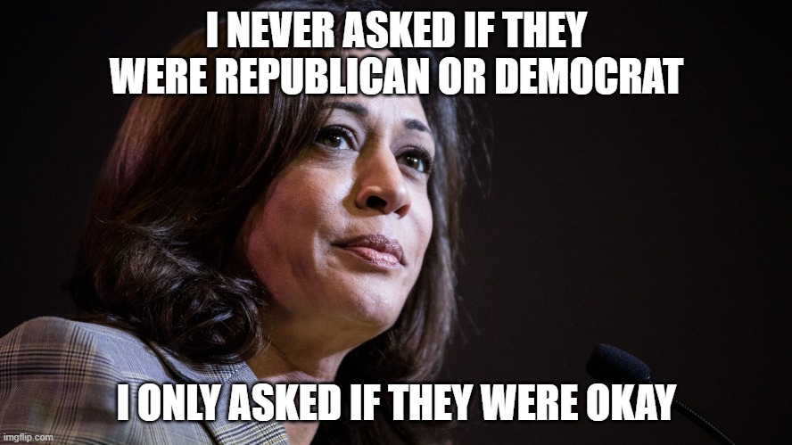 Kamala | I NEVER ASKED IF THEY WERE REPUBLICAN OR DEMOCRAT; I ONLY ASKED IF THEY WERE OKAY | image tagged in kamala | made w/ Imgflip meme maker