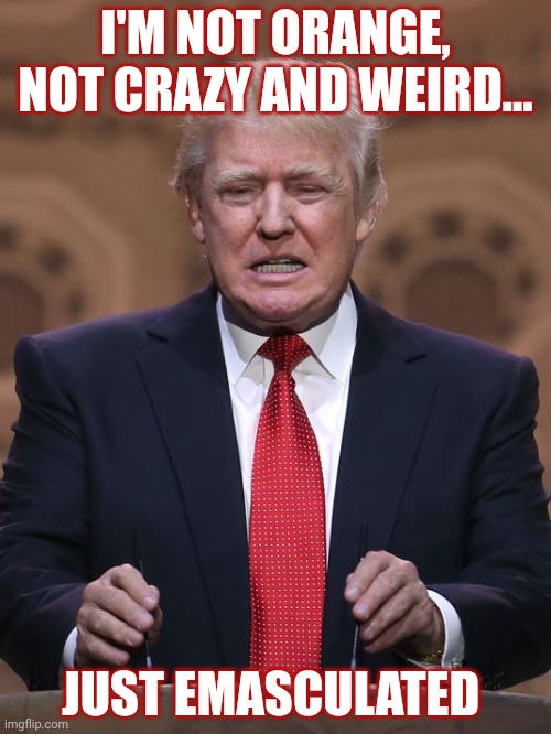 Emasculated | I'M NOT ORANGE, NOT CRAZY AND WEIRD... JUST EMASCULATED | image tagged in donald trump | made w/ Imgflip meme maker