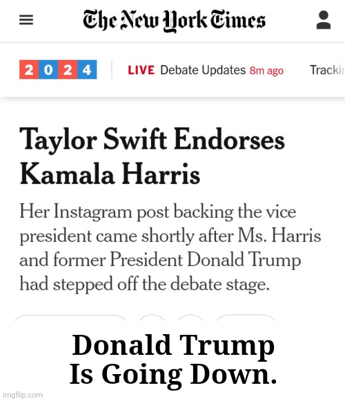 Taylor Swift Endorsement | Donald Trump
Is Going Down. | image tagged in taylor swift endorsement | made w/ Imgflip meme maker