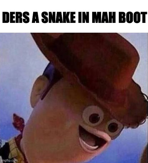 Derp Woody | DERS A SNAKE IN MAH BOOT | image tagged in derp woody | made w/ Imgflip meme maker