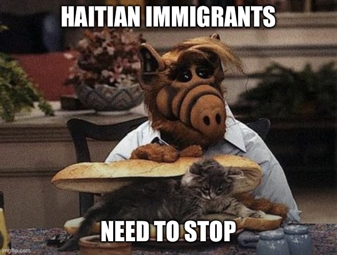 Alf Cat Sandwich | HAITIAN IMMIGRANTS; NEED TO STOP | image tagged in alf cat sandwich | made w/ Imgflip meme maker