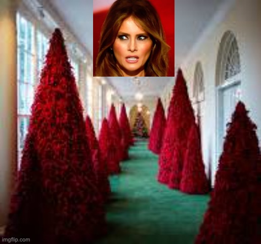 One wonders why the former president is so terrified of immigrants | image tagged in melania's christmas trees,donald trump,melania trump,terror,immigrants,election | made w/ Imgflip meme maker