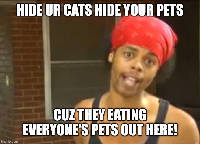 they're eating our dogs! | HIDE UR CATS HIDE YOUR PETS; CUZ THEY EATING EVERYONE'S PETS OUT HERE! | image tagged in kamala harris,presidential debate,donald trump,memes,2024,political meme | made w/ Imgflip meme maker