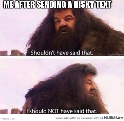 texting mistakes | ME AFTER SENDING A RISKY TEXT | image tagged in i shouldn't have said that | made w/ Imgflip meme maker