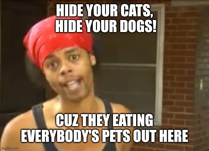 Harris vs trump debate meme | HIDE YOUR CATS,
 HIDE YOUR DOGS! CUZ THEY EATING EVERYBODY'S PETS OUT HERE | image tagged in donald trump,kamala harris,presidential debate,memes,meme,2024 | made w/ Imgflip meme maker