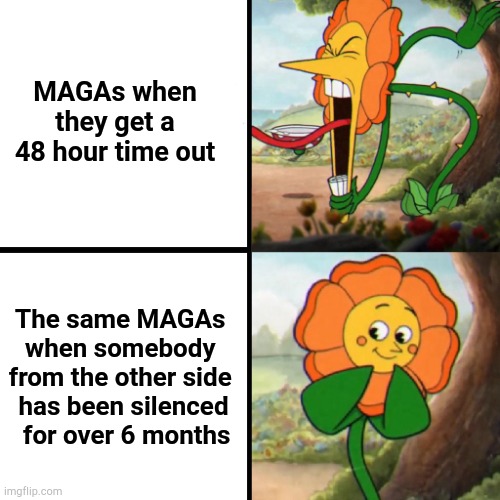 double standard MAGA | MAGAs when
 they get a 
48 hour time out; The same MAGAs 
when somebody 
from the other side 
has been silenced
 for over 6 months | image tagged in cuphead flower | made w/ Imgflip meme maker