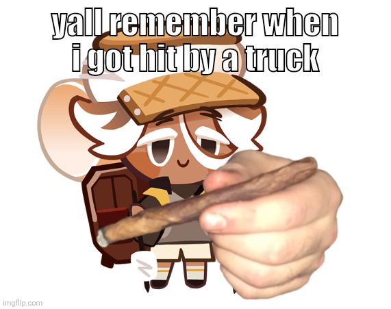 smore cookie with a blunt | yall remember when i got hit by a truck | image tagged in smore cookie with a blunt | made w/ Imgflip meme maker