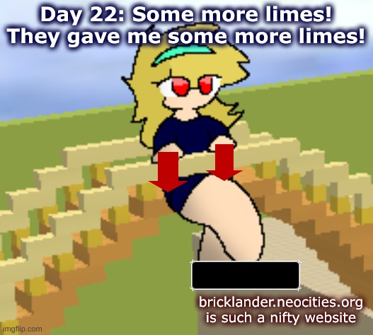 Day 22: Some more limes | Day 22: Some more limes! They gave me some more limes! bricklander.neocities.org is such a nifty website | image tagged in nice,stuff | made w/ Imgflip meme maker