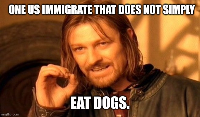 One Does Not Simply | ONE US IMMIGRATE THAT DOES NOT SIMPLY; EAT DOGS. | image tagged in memes,one does not simply | made w/ Imgflip meme maker