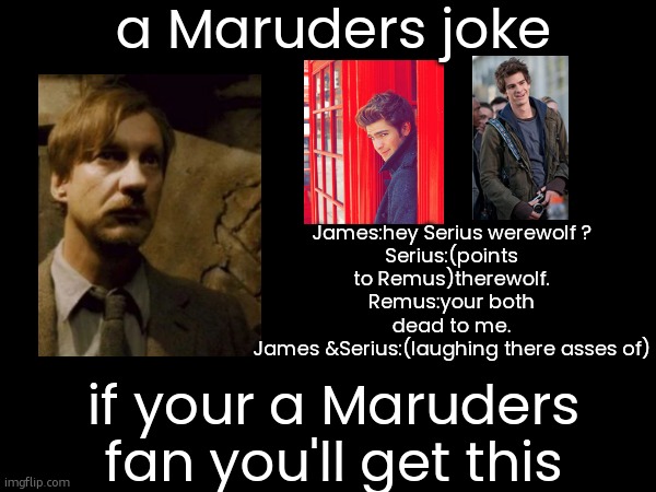 HAHAHAHHAHAHAHAHAHAHAHAHAHAHAHAHAHA.werewolf ha | a Maruders joke; James:hey Serius werewolf ?
Serius:(points to Remus)therewolf.
Remus:your both dead to me.
James &Serius:(laughing there asses of); if your a Maruders fan you'll get this | image tagged in harry potter | made w/ Imgflip meme maker