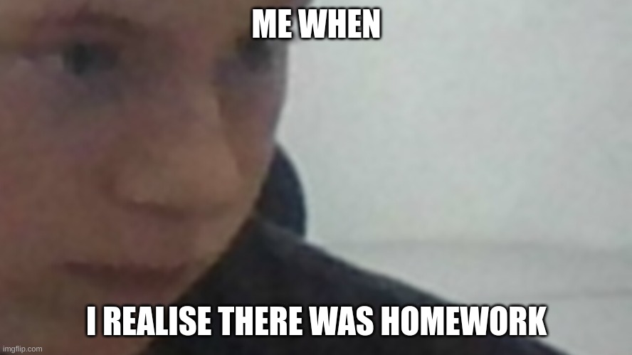 ME WHEN; I REALISE THERE WAS HOMEWORK | image tagged in relatable,funny | made w/ Imgflip meme maker