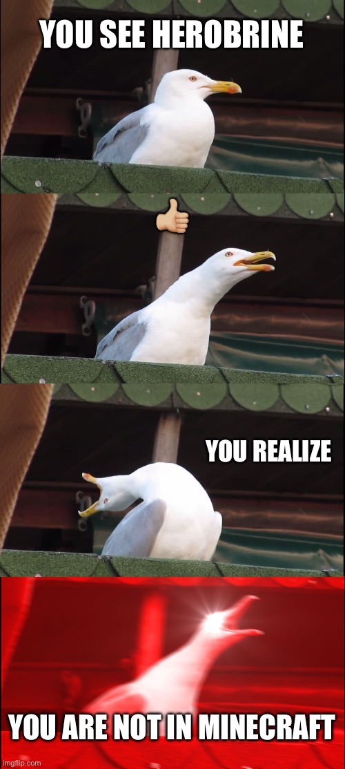 Inhaling Seagull | YOU SEE HEROBRINE; 👍🏼; YOU REALIZE; YOU ARE NOT IN MINECRAFT | image tagged in memes,inhaling seagull | made w/ Imgflip meme maker