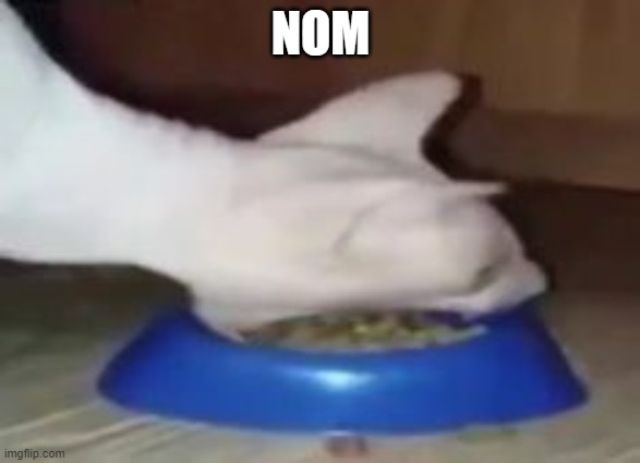 nom | NOM | image tagged in nom nom nom | made w/ Imgflip meme maker