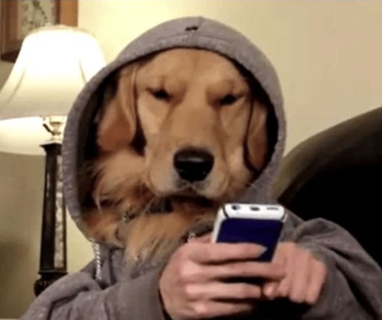 Dog on phone Blank Meme Template