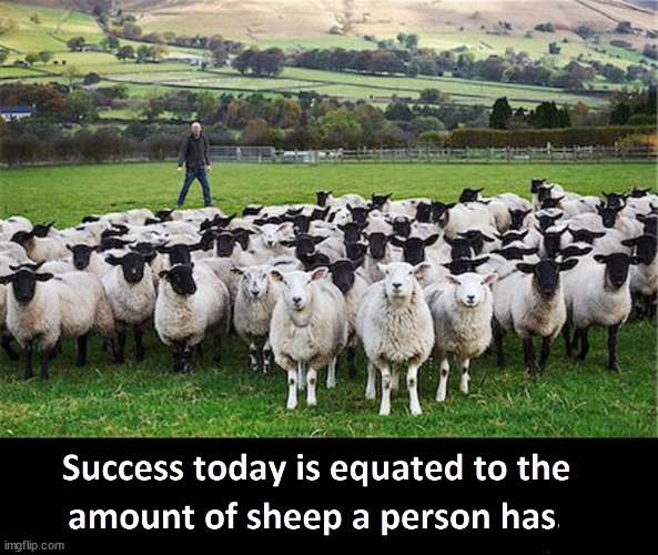 This has always been the case! | image tagged in sheeple,stupid sheep,followers,funny | made w/ Imgflip meme maker