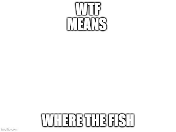 funny | WTF
MEANS; WHERE THE FISH | image tagged in memes | made w/ Imgflip meme maker