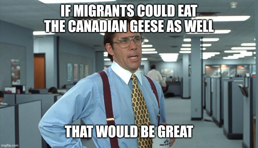Office Space Bill Lumbergh | IF MIGRANTS COULD EAT THE CANADIAN GEESE AS WELL; THAT WOULD BE GREAT | image tagged in office space bill lumbergh | made w/ Imgflip meme maker