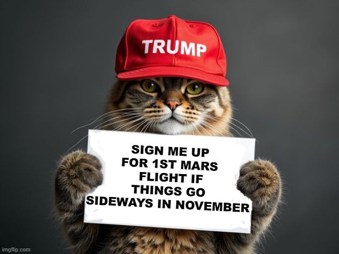 CAT WITH A JOB | SIGN ME UP FOR 1ST MARS  FLIGHT IF THINGS GO SIDEWAYS IN NOVEMBER | image tagged in trump cat | made w/ Imgflip meme maker