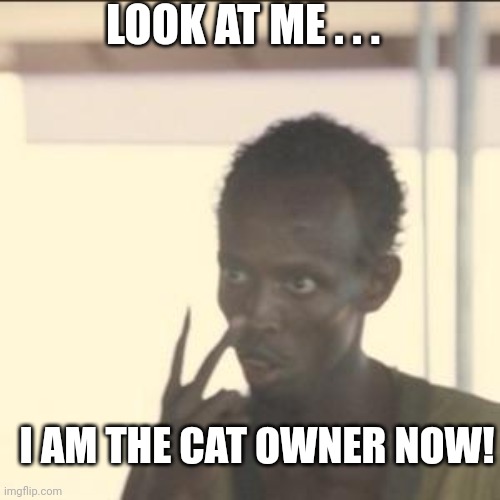 Look At Me Meme | I AM THE CAT OWNER NOW! LOOK AT ME . . . | image tagged in memes,look at me | made w/ Imgflip meme maker