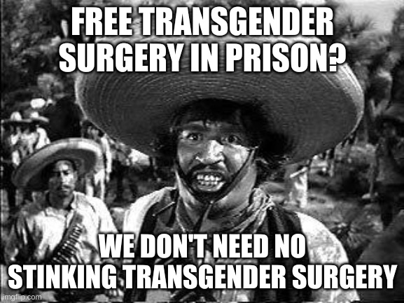 steenkin' surgery | FREE TRANSGENDER SURGERY IN PRISON? WE DON'T NEED NO STINKING TRANSGENDER SURGERY | image tagged in badges | made w/ Imgflip meme maker