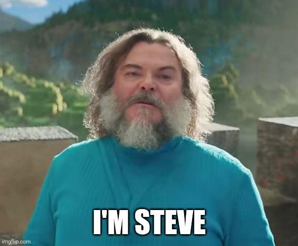 I'M STEVE | I'M STEVE | image tagged in minecraft,movie | made w/ Imgflip meme maker