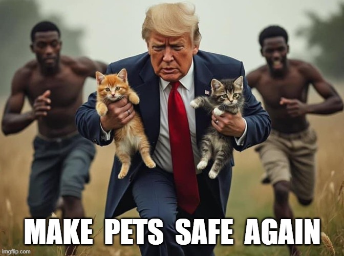 make pets safe again | MAKE  PETS  SAFE  AGAIN | image tagged in make pets safe again,trump,hattians | made w/ Imgflip meme maker