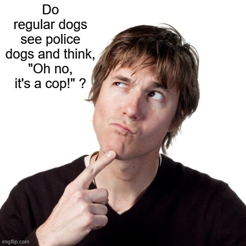 Dog Joke | Do regular dogs see police dogs and think, "Oh no, it's a cop!" ? | image tagged in thinking guy 1,funny,repost,dogs | made w/ Imgflip meme maker