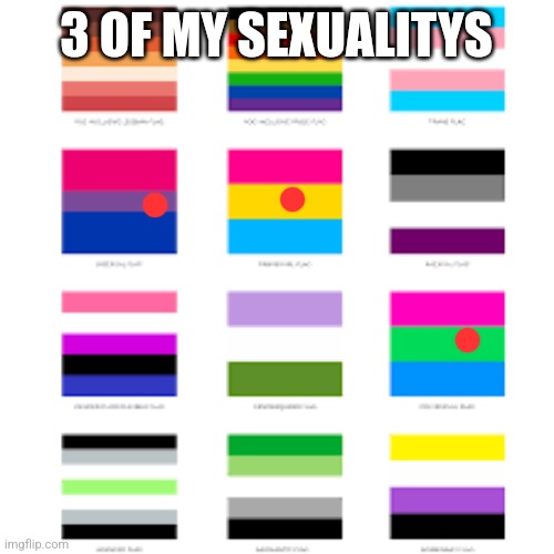 lgbtq flags | 3 OF MY SEXUALITYS | image tagged in lgbtq flags,sh | made w/ Imgflip meme maker