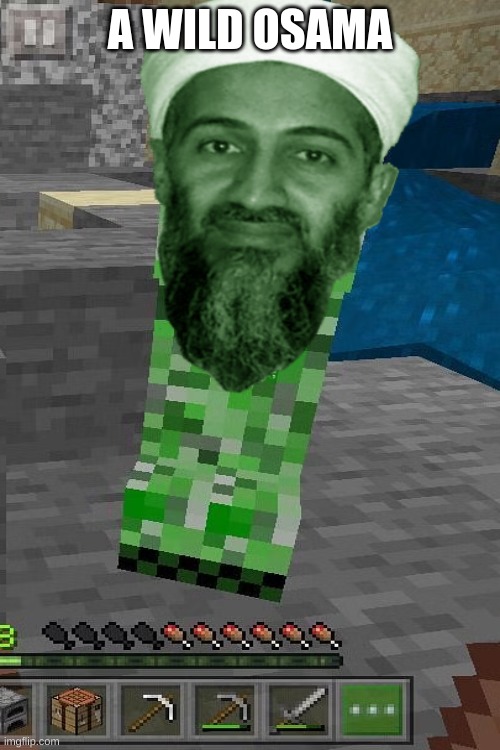 A Wild Osama.. | A WILD OSAMA | image tagged in 9/11,osama bin laden | made w/ Imgflip meme maker