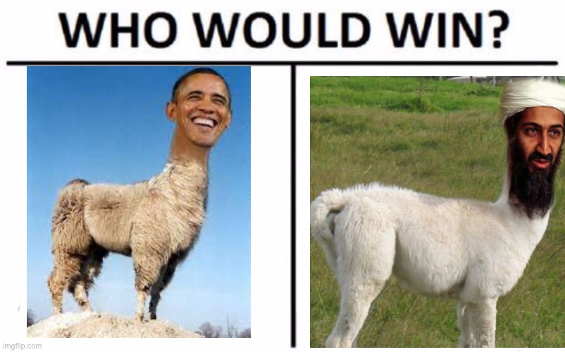 Who Would Win? | image tagged in memes,who would win | made w/ Imgflip meme maker